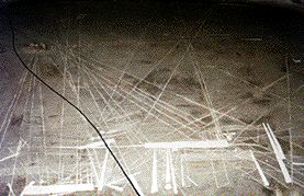 nazca lines